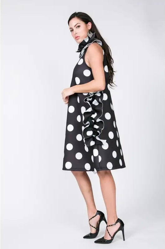 Godiva Polka Dot Dress